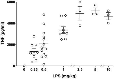 An Effective Method for Acute Vagus Nerve Stimulation in Experimental Inflammation